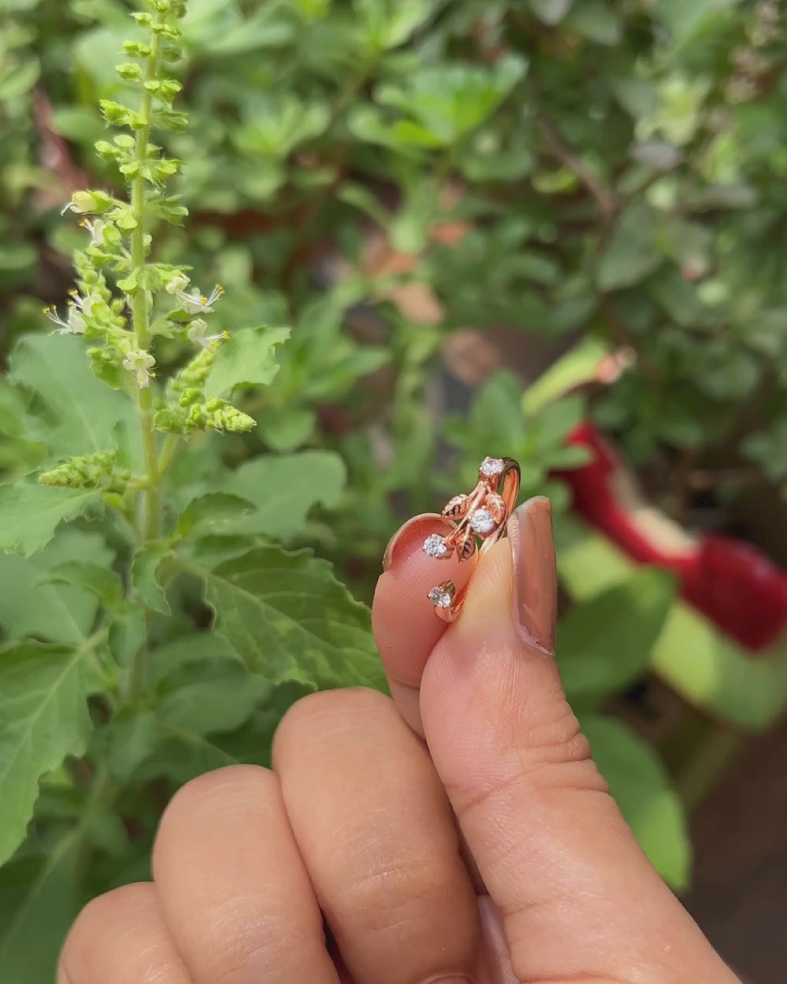 The Halo of Grace Ring