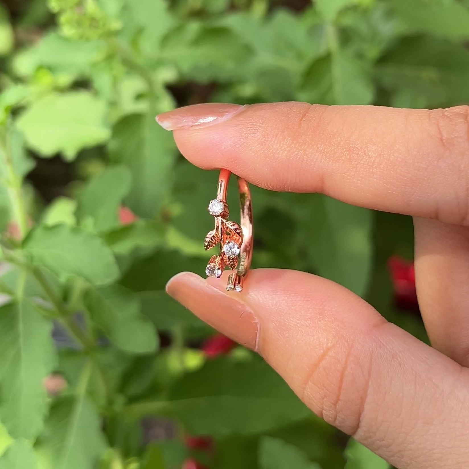 The Halo of Grace Ring